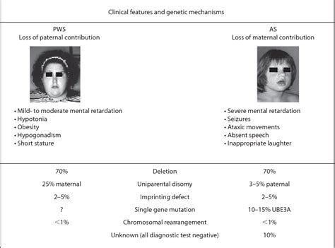 Prader Willi Angelman Syndrome