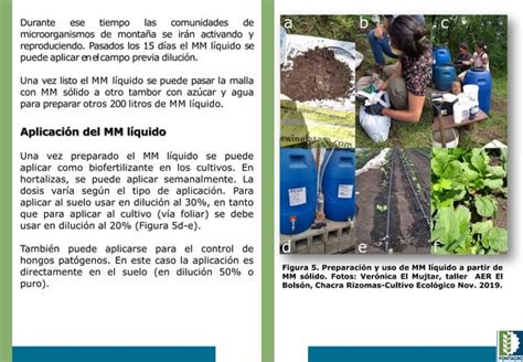 Inta Elaboracion De Biofertilizantes Pdf