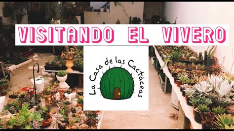 Visitando vivero La casa de las cactáceas en Querétaro YouTube