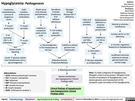 Hypoglycemia Pathogenesis Calgary Guide