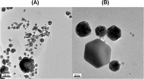 Hr Tem Images Of Day Old Aunps The Scale Bar Represents A Nm