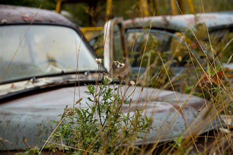 Car Wreck Abandoned - Free photo on Pixabay - Pixabay