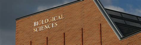 Cell Molecular And Developmental Biology Major College Of Natural