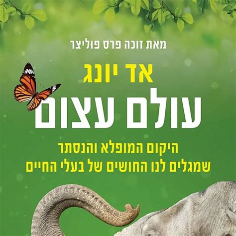 עולם עצום אד יונג