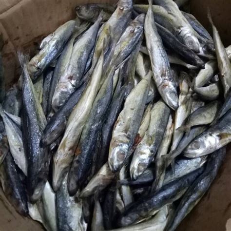 Jual Ikan Asin Klotok Layang Benggol Segar Ikan Asin Terlaris Harga 1