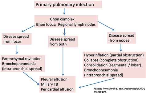 primary complex - Scribd india