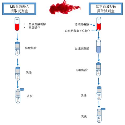 无需分离白细胞快速实现血液样本RNA提取 生物通