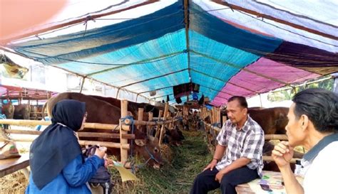 Jelang Idul Adha Pemkab Bogor Cek Kesehatan Hewan Kurban Di Peternak