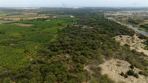 Bosques Secos Compartiendo Hallazgos Para Contribuir Al Desarrollo Y