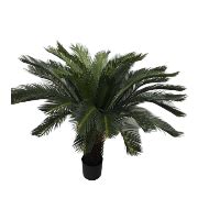 PLANTE CYCAS AVEC VASE 130 Cm Feuillazur Lyon