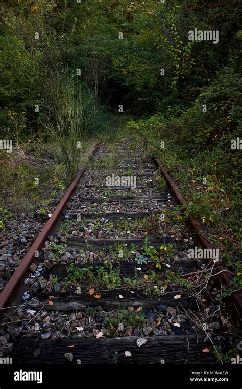 Overgrown Railway Track Hi Res Stock Photography And Images Alamy