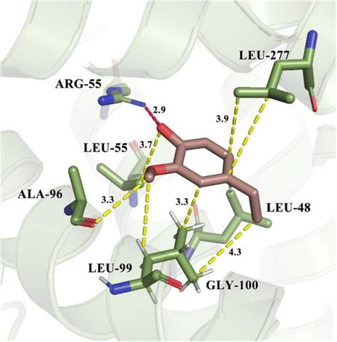 Complex Hydrogen Bond Analysis Of The Residue Interaction Mode Of Download Scientific Diagram