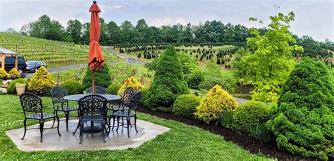 Insiders Guide The Best Boone Wineries In North Carolina