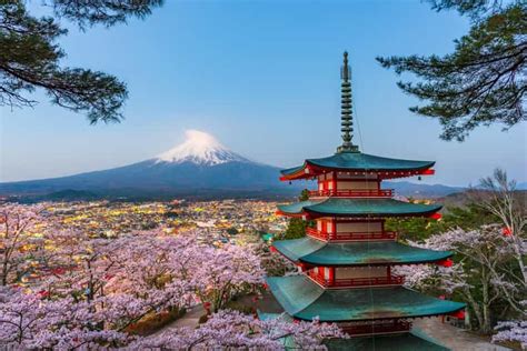 Depuis Tokyo Excursion privée d une journée au Mont Fuji ou à Hakone