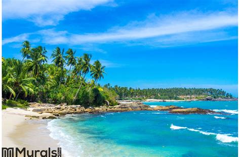 Tropical Beach In Sri Lanka Wall Mural