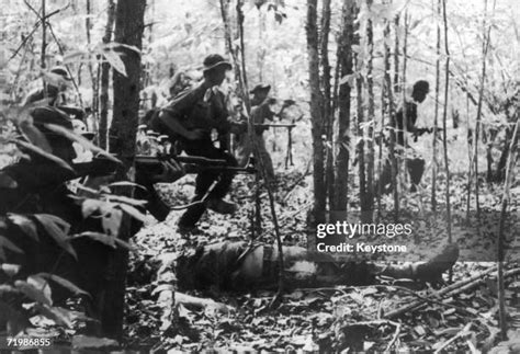 Jungle Attack During Vietnam War Bildbanksfoton Och Bilder Getty Images