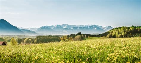 FERIENHOF BALDAUF Urlaub Ferienwohnung Immenstadt Allgäu