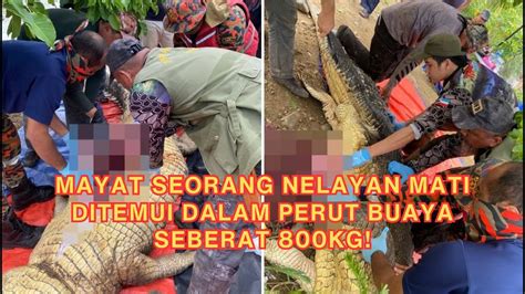 Warga Emas Hilang Ditemui Dalam Perut Buaya Youtube