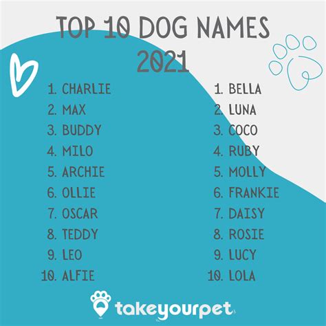 Popular Dog Names - Take Your Pet