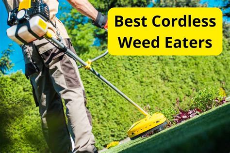 9 Best Cordless Weed Eaters Of 2024 Reviews Lawnstarter