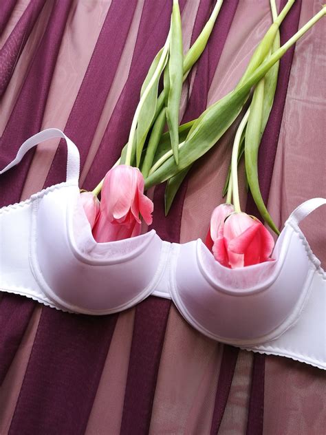 Unique Gifts Erotic Lingerie Gift For Her The Half Padded Cup Etsy