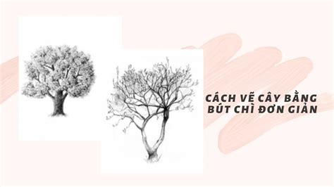 BẬt MÍ CÁch VẼ CÂy BẰng BÚt ChÌ ĐƠn GiẢn DÀnh Cho NgƯỜi MỚi BẮt ĐẦu