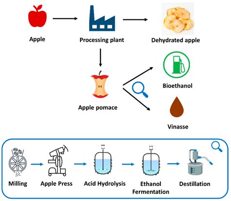 Ethanol Production Plant