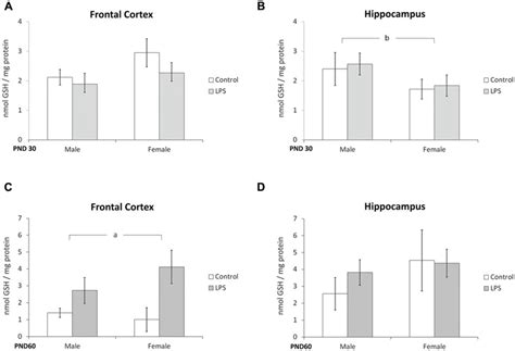 Glutathione Content Is Dependent On Sex And Modulated By Prenatal Download Scientific Diagram