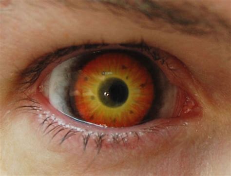 Eerie Eyeball Covers 25 Pics