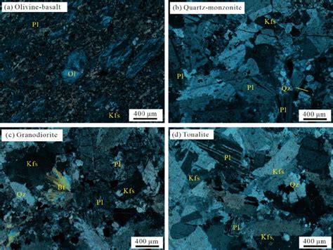 Representative Photomicrographs Cross Polarized Light Of Thin Download Scientific Diagram