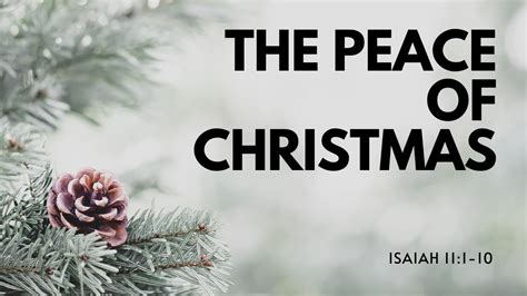 The Peace Of Christmas First Presbyterian Church Of Arlington Live