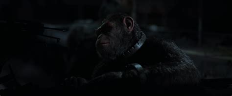 War For The Planet Of The Apes 2017 Screencap Fancaps