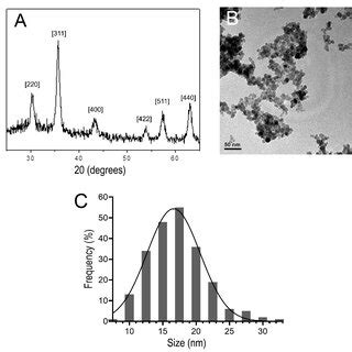 A X Ray Powder Diffraction Pattern Of Dmsa Mnp In The Angular Range