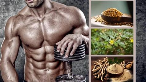 Natural Testosterone Boosters The 5 Best Herbs For Mens Health Articles Healthy Lounge