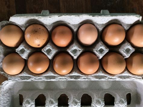 Chicken eggs – Glade Road Growing