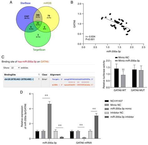 Microrna A P And Gata Are Abnormally Expressed In Patients With