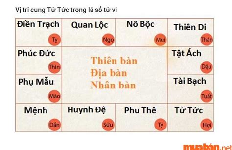 Cung Tử Tức Là Gì? Giải Mã Cung Tử Tức Trong Lá Số Tử Vi