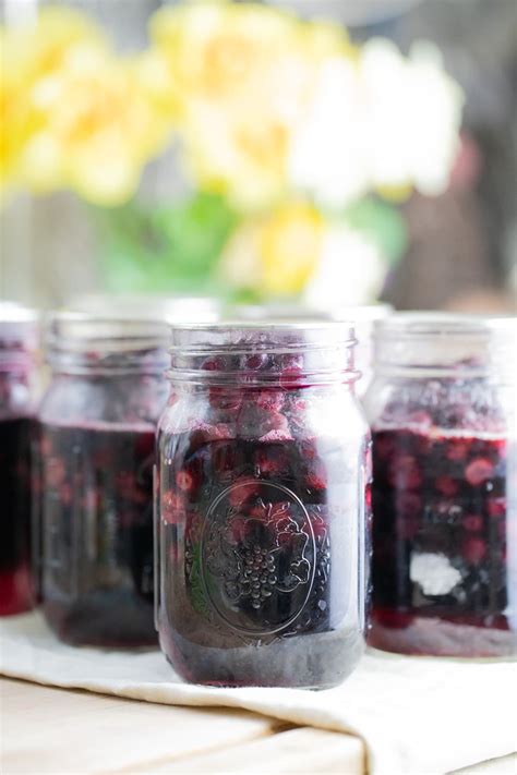 Canning Blueberries - Lady Lee's Home