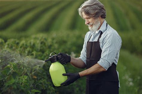 Eliminar Las Plagas Del Huerto Con Remedios Caseros