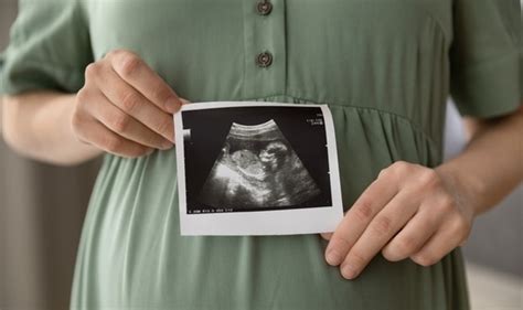 Intelligent Ultrasound launch AI software for gestational age estimation