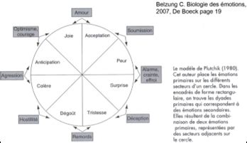 Psycho Du Dev Concepts Th Oriques Majeurs Cartes Quizlet