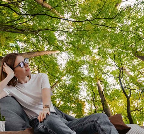 Wald Fototapete Hohe B Ume Tenstickers