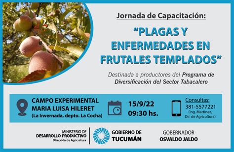 Capacitaci N Sobre Plagas Y Enfermedades En Frutales Templados