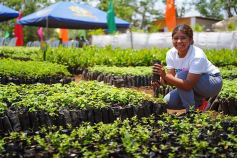 Inauguran Vivero Municipal En La Ciudad De Las Flores Radio La