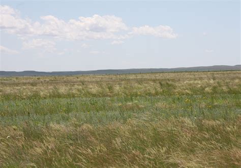 New Project To Measure Carbon Sequestration Levels In Grasslands The