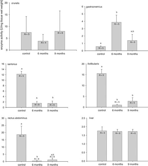 Enzyme Activity U G Tissue Wet Mass Of Citrate Synthase Cs In