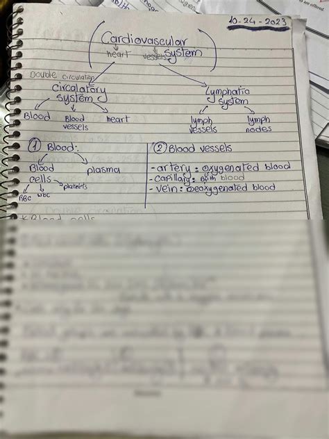 SOLUTION Cardiovascular System Studypool