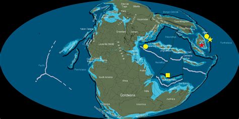 Frontiers The Earliest Belemnite Linked With The Carnian Pluvial Episode