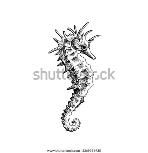 Seahorse Tattoo Royalty-Free Images, Stock Photos & Pictures | Shutterstock