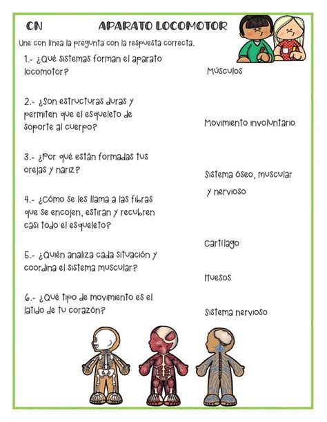 Aparato Locomotor Interactive Exercise For Tercero De Primaria Grado